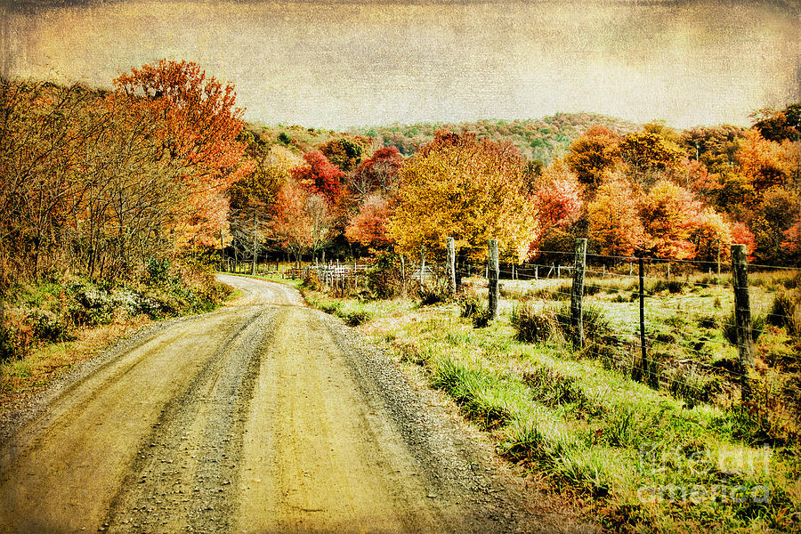 Country Lane Photograph