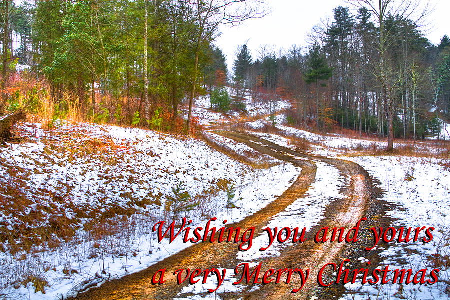 Country Lane Holiday Card Photograph by Debra and Dave Vanderlaan