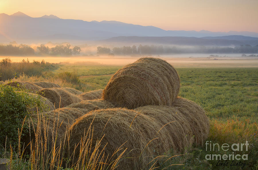 Country Life Photograph by Idaho Scenic Images Linda Lantzy