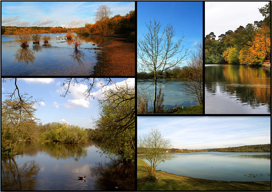 Country Parks Collage Photograph by Chris Day