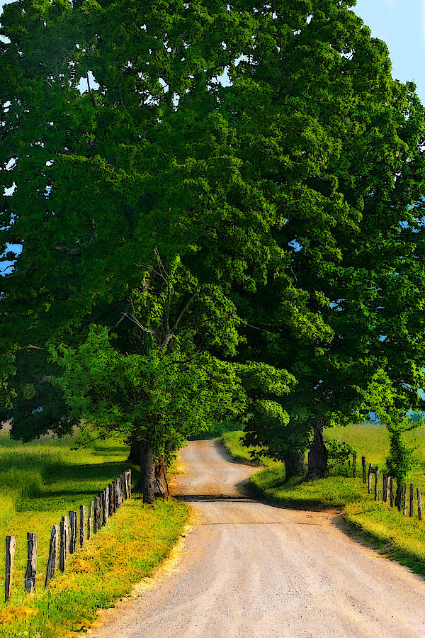Country Path Digital Art by Cindy Haggerty