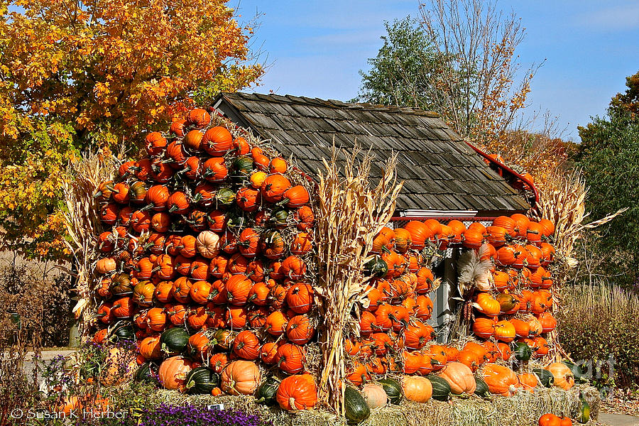 Country Pumpkin Shack Photograph by Susan Herber