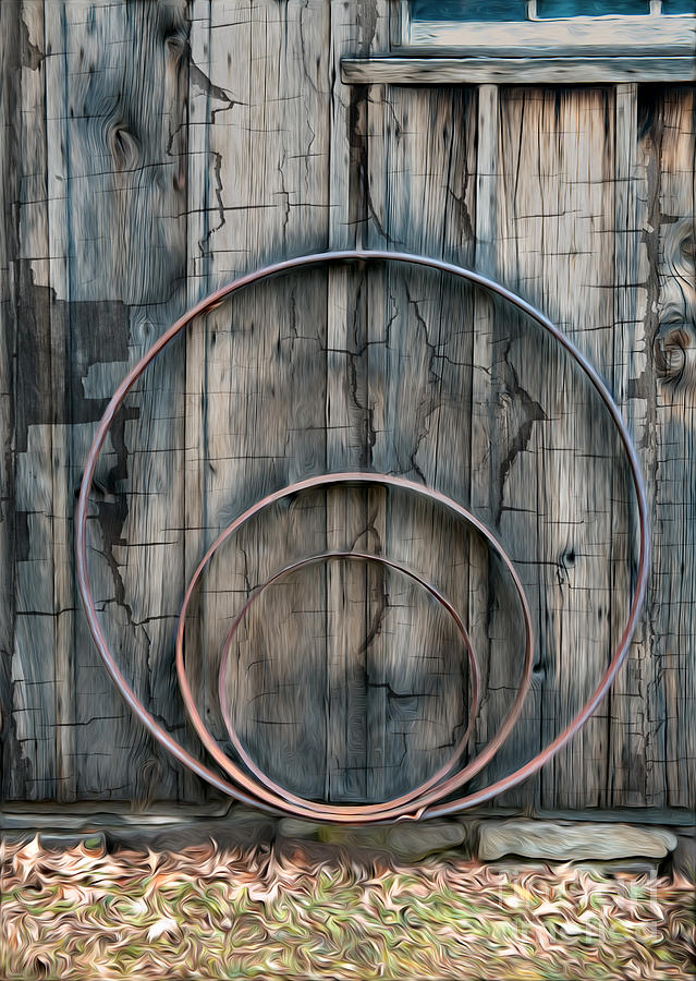 Country Rings Photograph by Susan Candelario