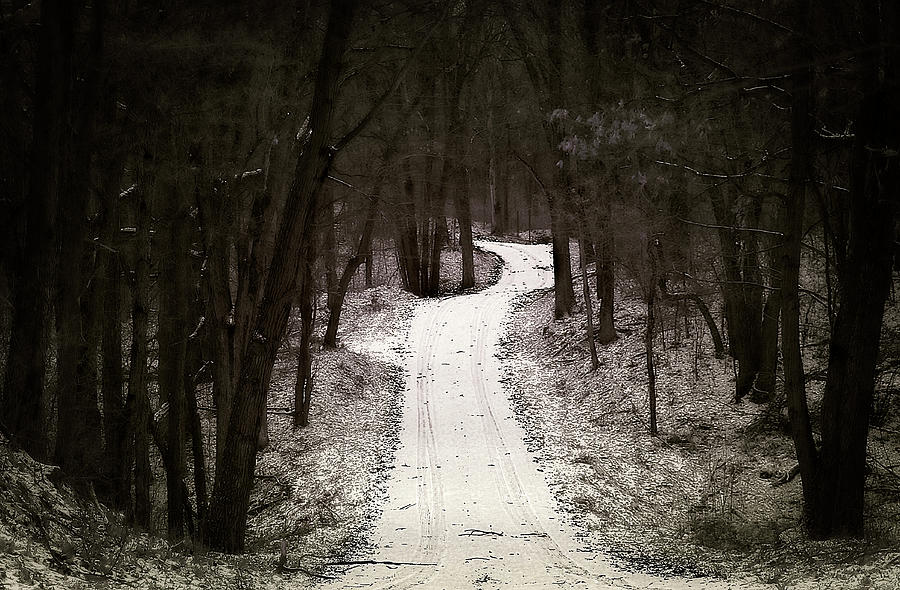 Country Road - Take me Home Photograph by Scott Hovind