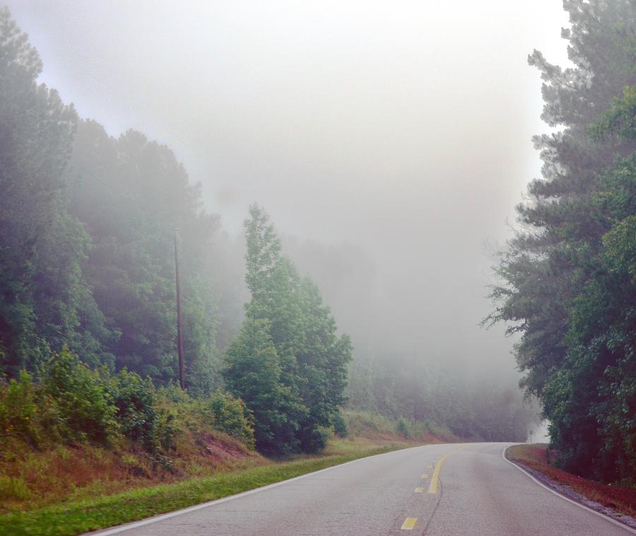 Tree Photograph - Country Road Fog by Maria Urso