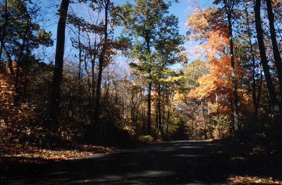 Country Road In Autumn Photograph by Kay Novy