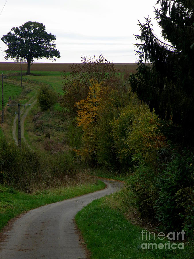 Country Road Photograph by Lainie Wrightson