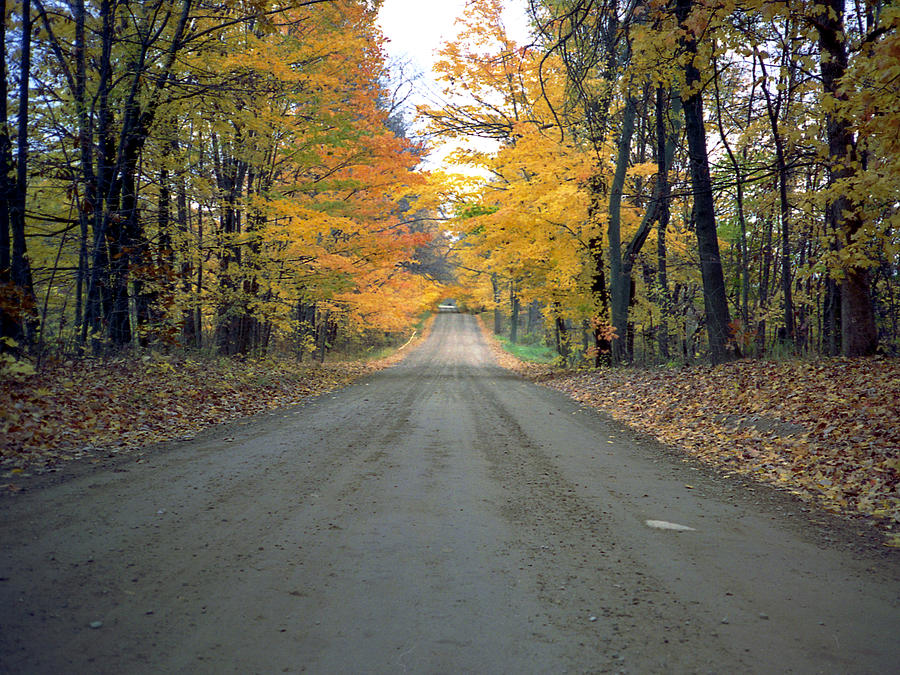 Country Road Photograph by Richard Gregurich