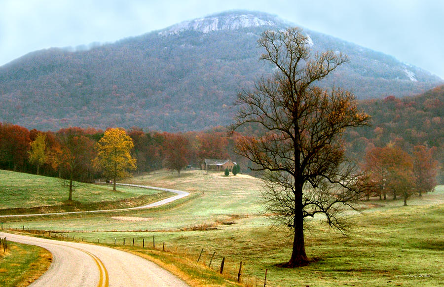 Country Road to Mount Yonah Photograph by George Bostian