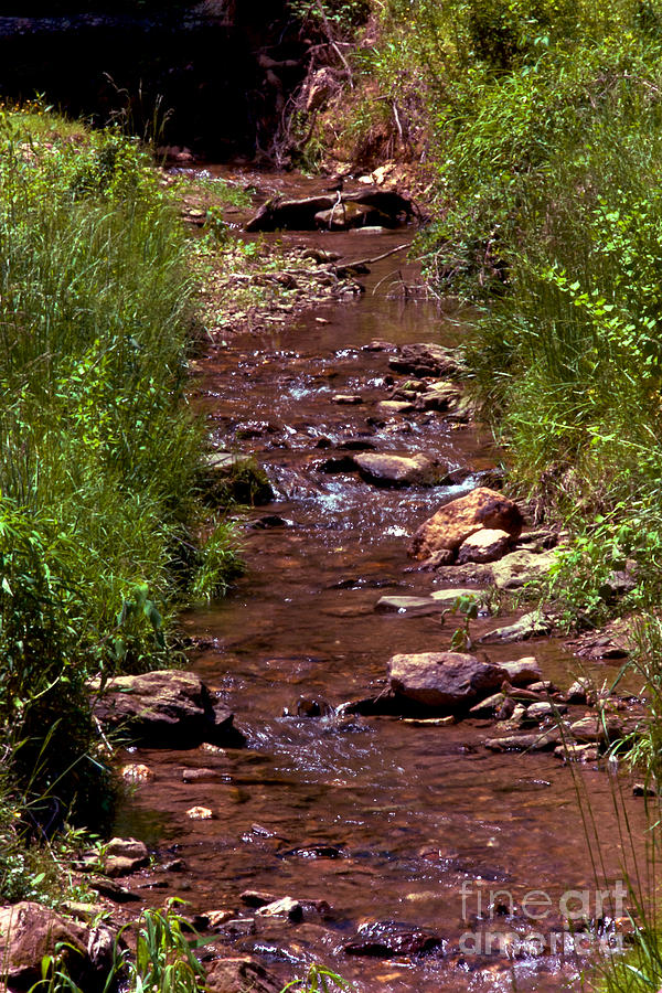 Country Stream Photograph by Mark Dodd