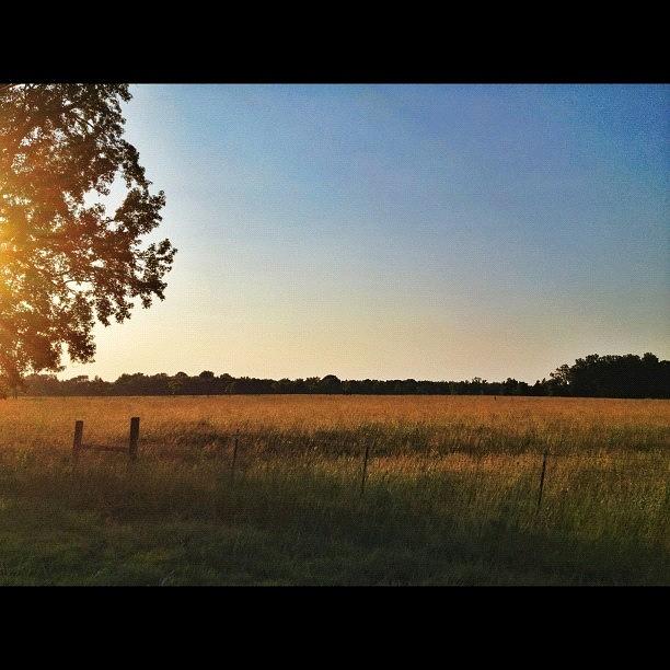 Summer Photograph - Country Sunset by Misty D
