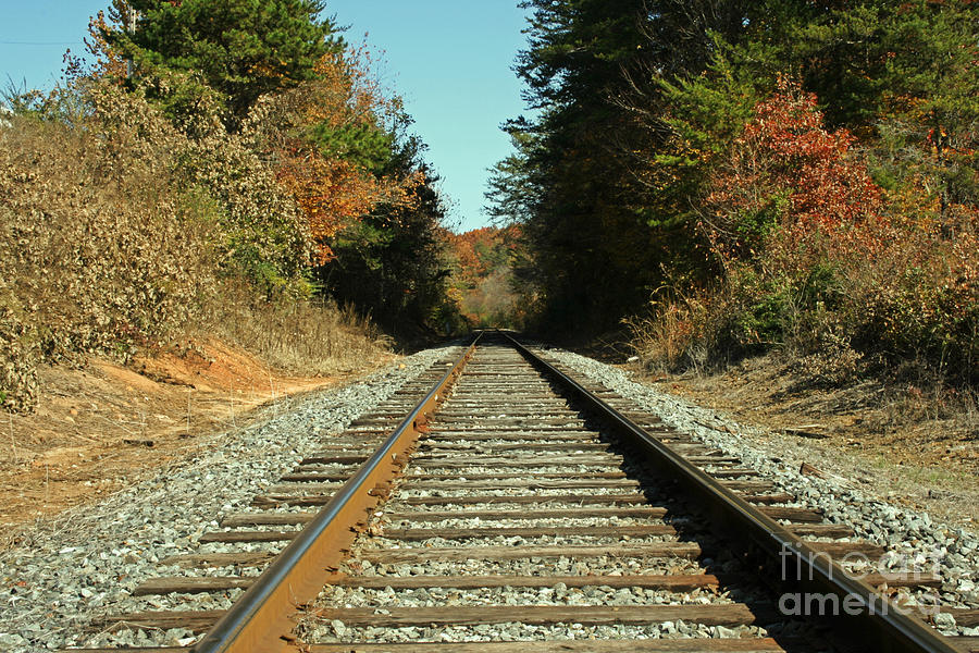 Mountain Photograph - Country Tracks 2 by Michael Waters