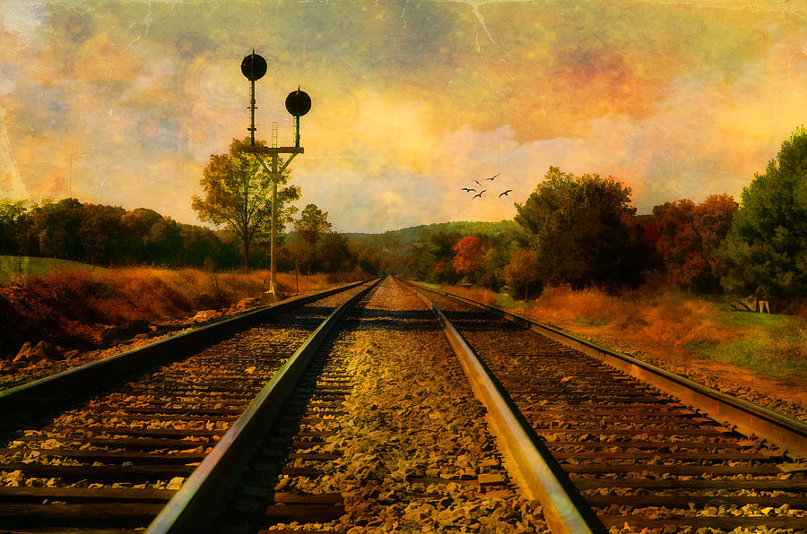 Country Tracks Photograph by Kathy Jennings