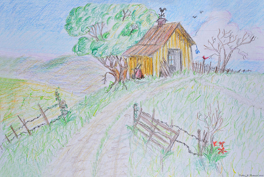 Country Woodshed Drawing by Debbie Portwood
