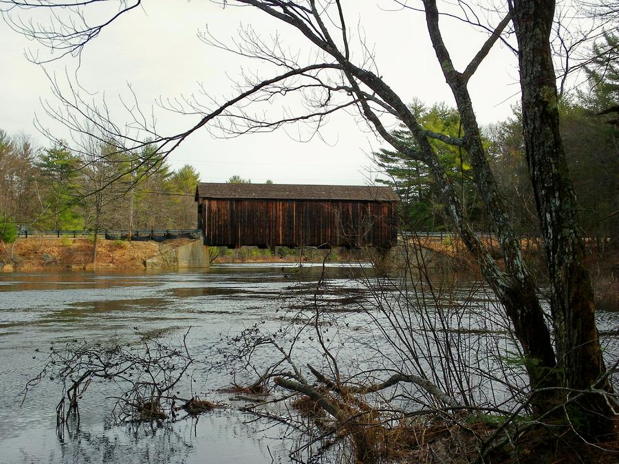 County Covered Bridge Photograph by Wayne Toutaint