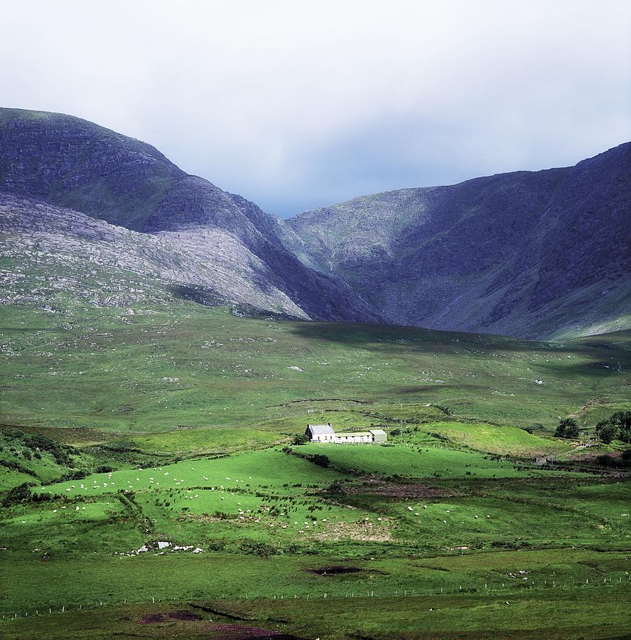 Farm Photograph - County Kerry, Ireland by The Irish Image Collection 