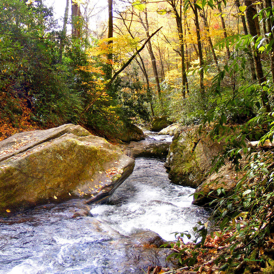 Courthouse River in the Fall 2 Photograph by Duane McCullough