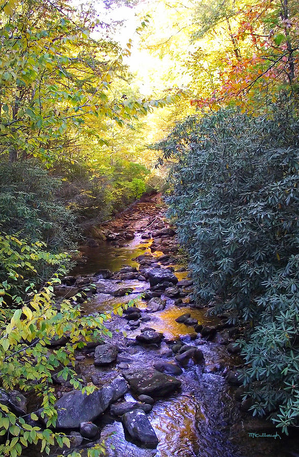 Courthouse River in the Fall 3 Photograph by Duane McCullough