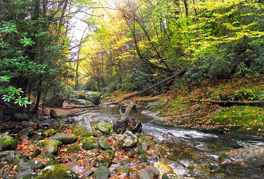 Courthouse River in the Fall 4 Photograph by Duane McCullough