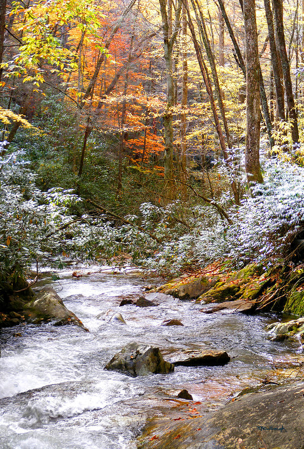 Courthouse River in the Fall Photograph by Duane McCullough