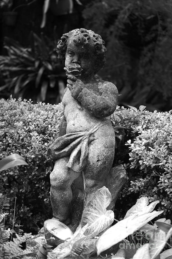 Courtyard Statue of a Cherub French Quarter New Orleans Black and White  Photograph by Shawn OBrien
