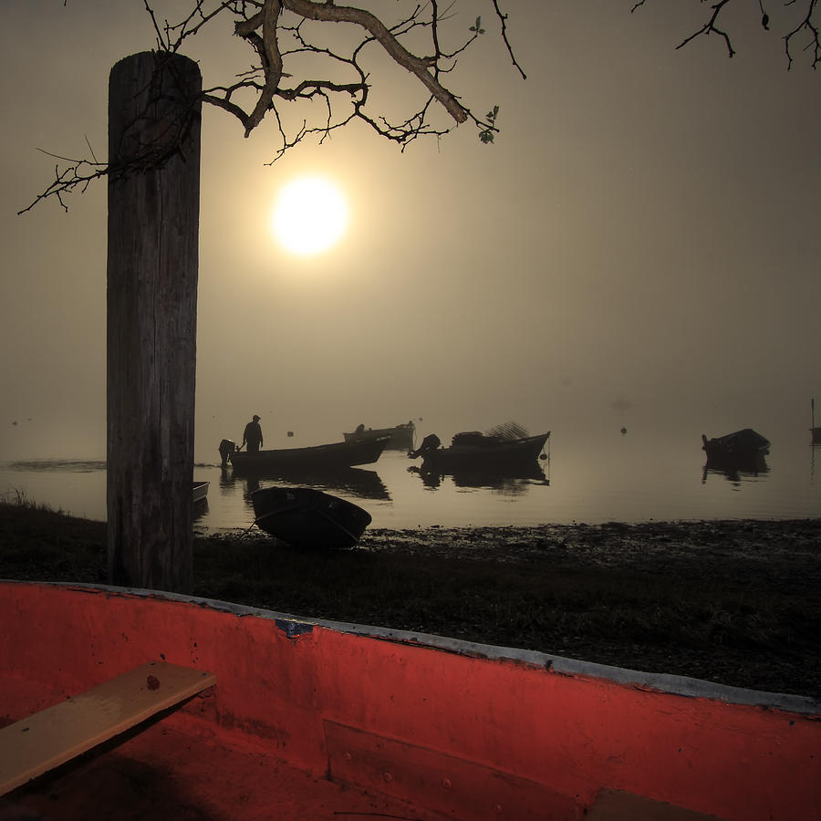 Sunset Photograph - Cove Fog - Orleans Cape Cod by Darius Aniunas