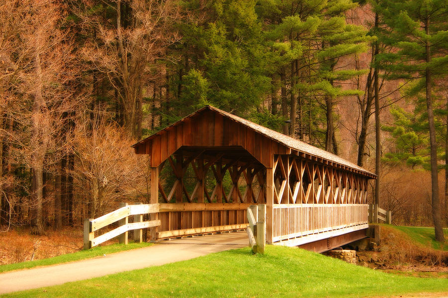 Covered Bridge Photograph by Cindy Haggerty