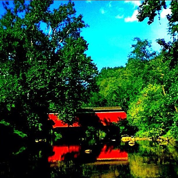 Nature Photograph - Covered Bridge, Fair Hill, Maryland by Charles Dowdy