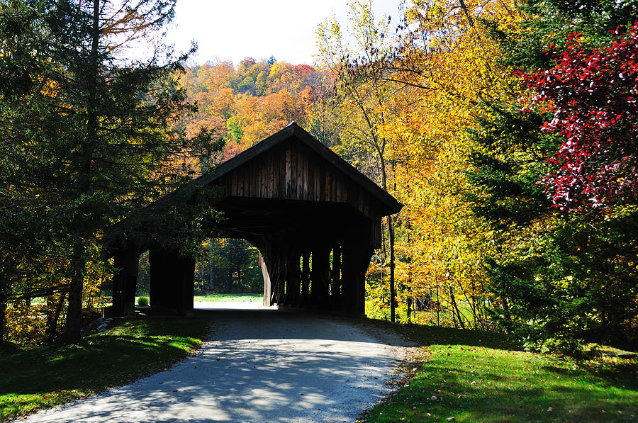 Covered Bridge in Fall Photograph by Greg Meland - Fine Art America