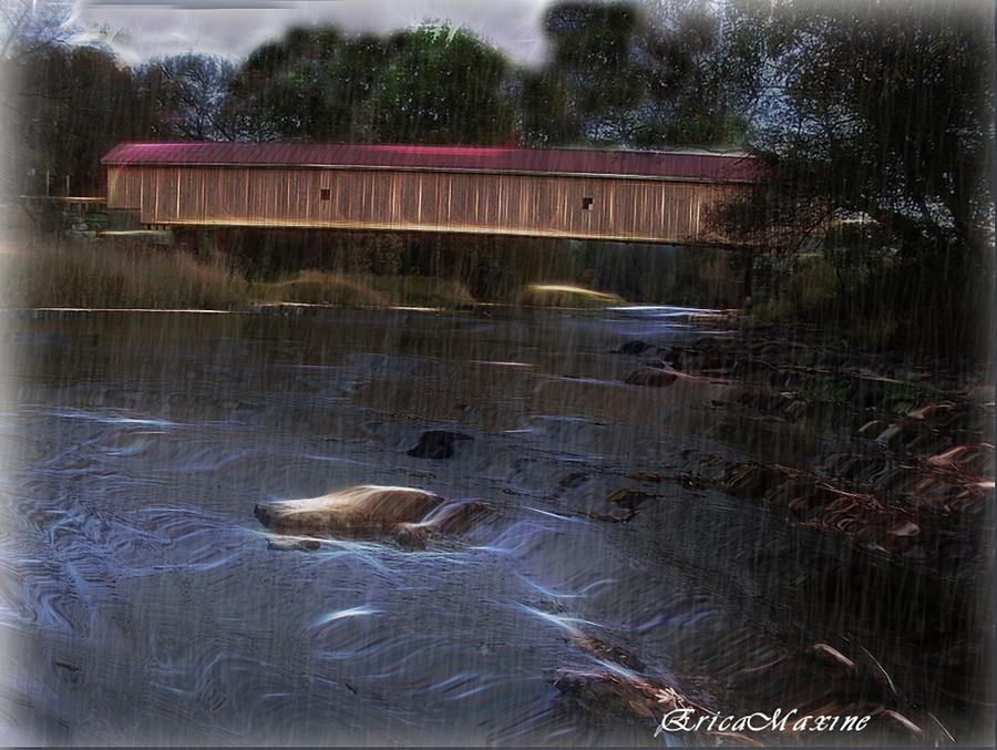 Covered Bridge in the Rain Photograph by Ericamaxine Price