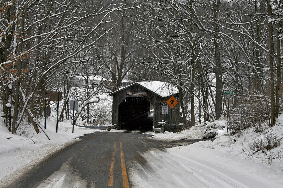 Covered Bridge Road Photograph by Richard Gregurich