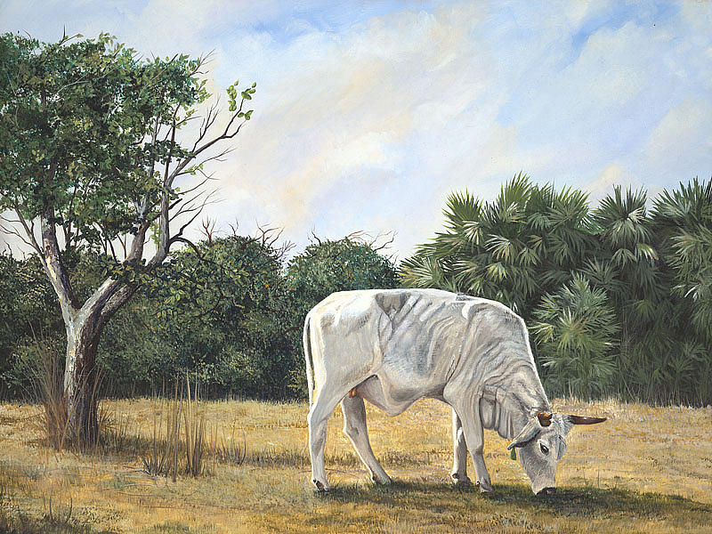 Cow Painting by AnnaJo Vahle