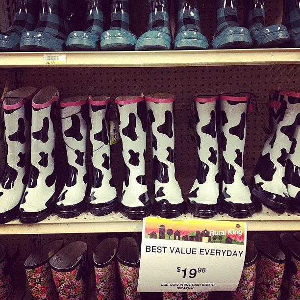 Cow Boots At #ruralking Photograph by Melissa Lutes