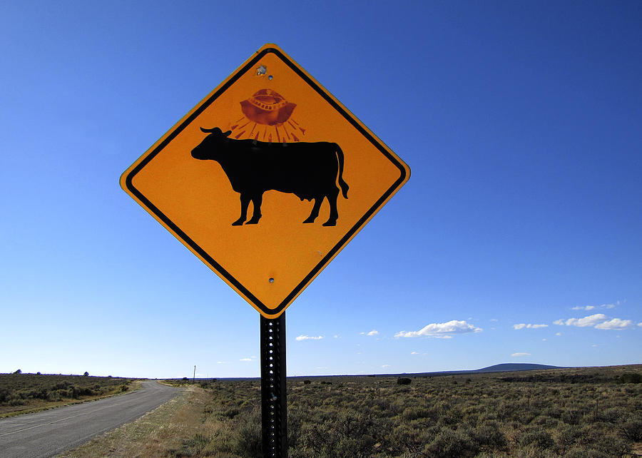 Cow UFO Road Sign  Photograph by Ann Powell