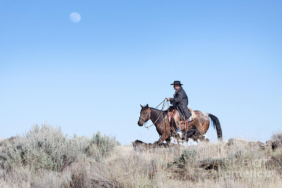 Cowboy Desert Moon Photograph by Cindy Singleton
