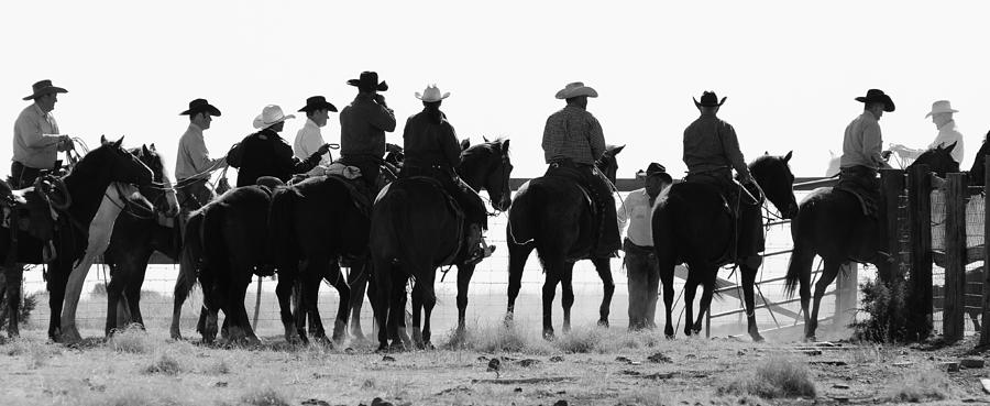 Horse Photograph - Cowboy Lineup by Paula Loftin