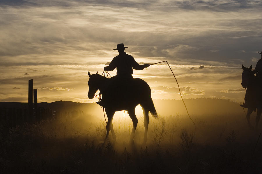 Cowboy On Domestic Horse Equus Caballus Photograph by Konrad Wothe