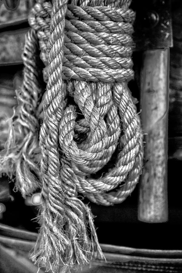 Abstract Photograph - Cowboy rope by Toni Hopper