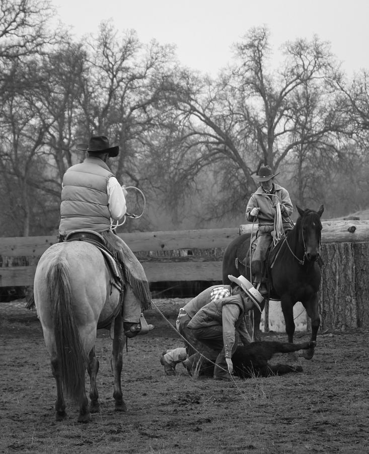 Cowboy Teamropin Photograph by Diane Bohna