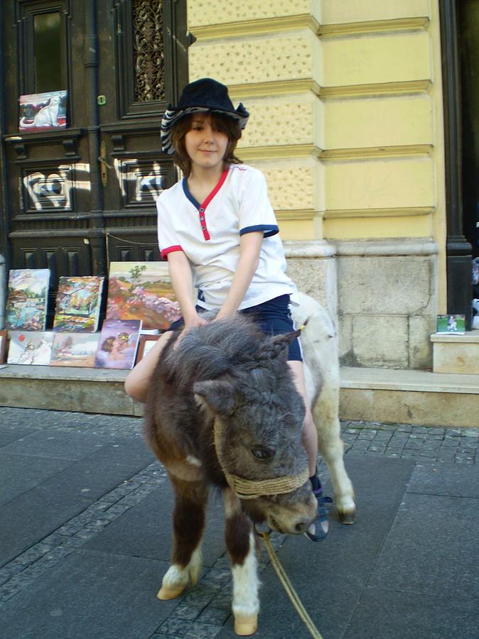 Girl Photograph - Cowgirl On The Pony by Radoslav Rundic