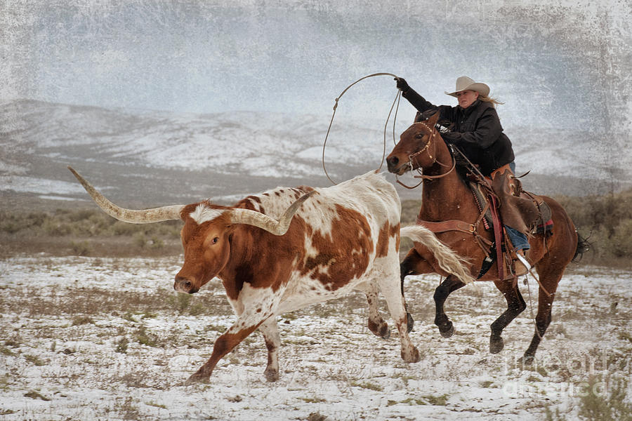 Cowgirl Photograph - Cowgirl Roping Longhorn by Heather Swan