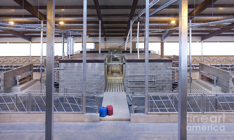 Cowshed Interior Photograph by Jaak Nilson - Pixels