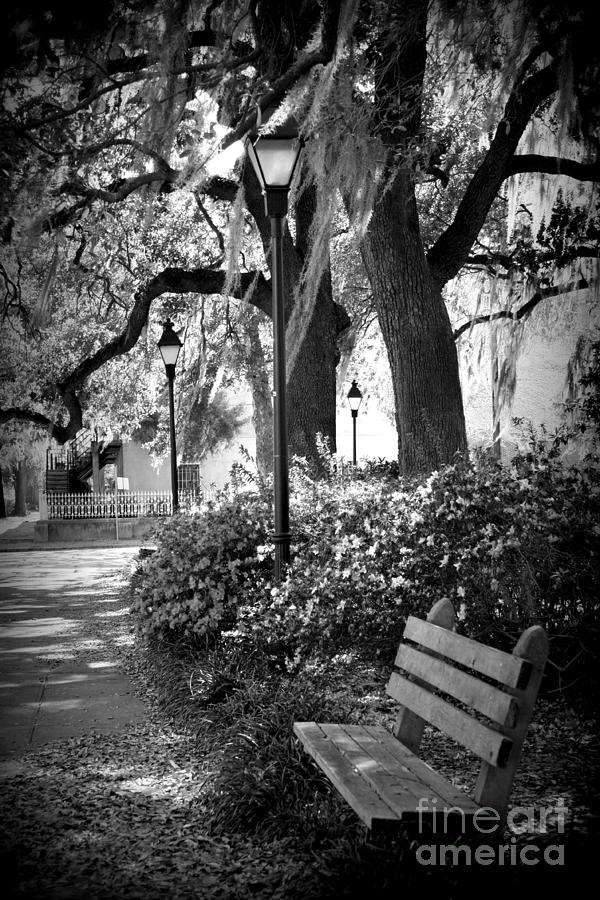 Cozy Corner in Savannah Photograph by Carol Groenen