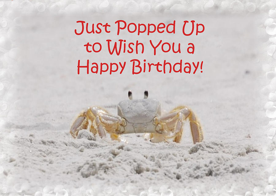 Crab Happy Birthday Photograph by Judy Hall-Folde