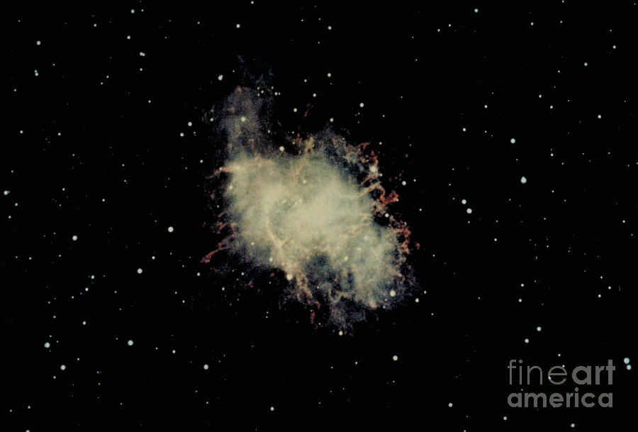 Crab Nebula Photograph by Hale Observatories