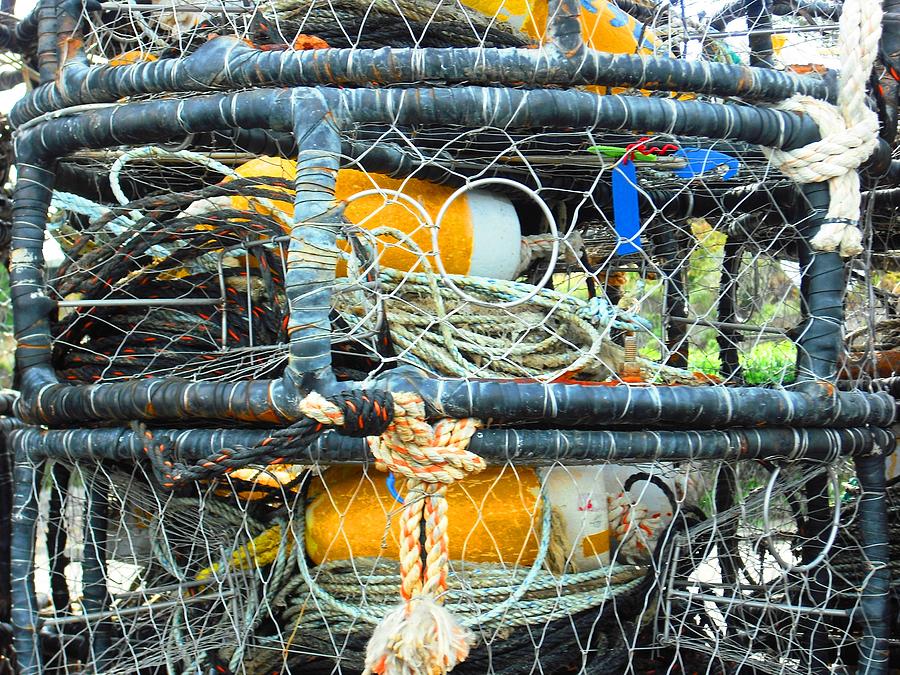 Crab Traps in Bodega Bay Photograph by Kelly Manning
