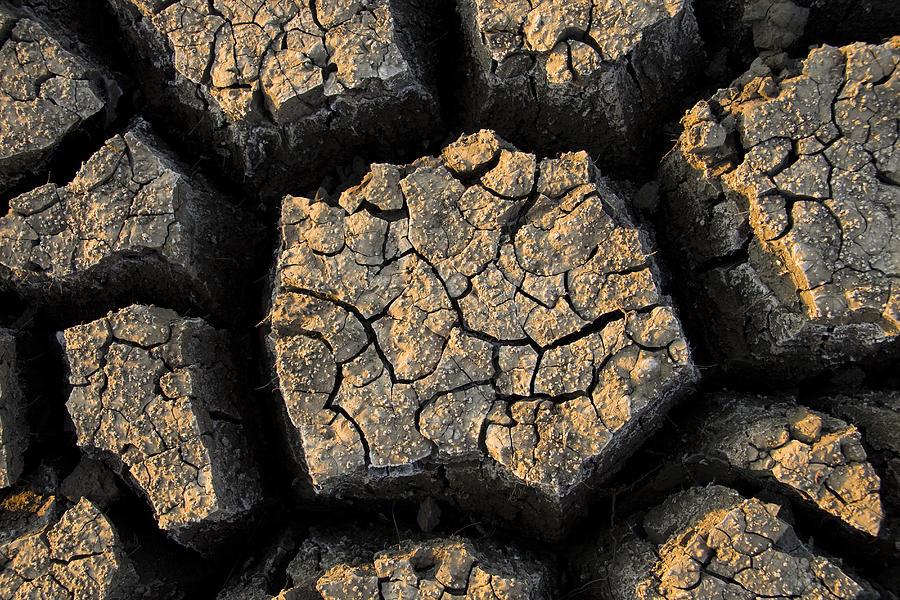 Cracked, Dried Out Mud, Mokolodi Nature Photograph by Vincent Grafhorst