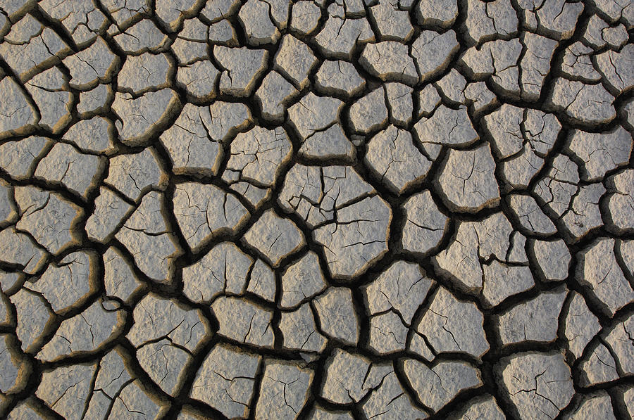Cracked Mud On The Salt Flats Photograph by Pete Oxford