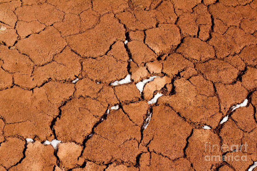 Cracked red soil  Photograph by Les Palenik