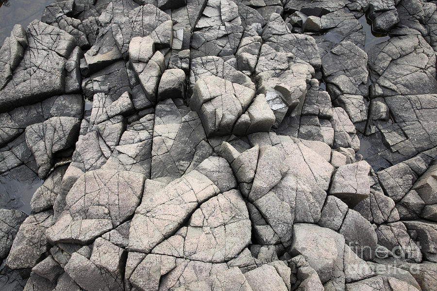 Cracked Rocks On Shore Photograph by Ted Kinsman